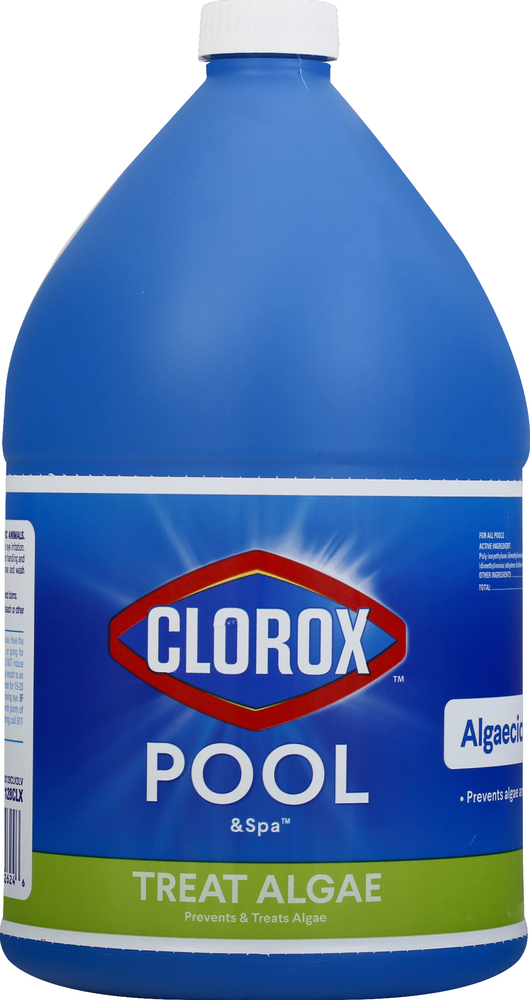 Clorox Pool & Spa Algaecide