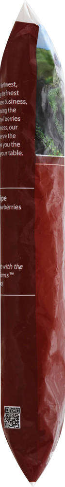 リリパットレーン479☆Strawberry Fields リリパットレーン / Lilliput