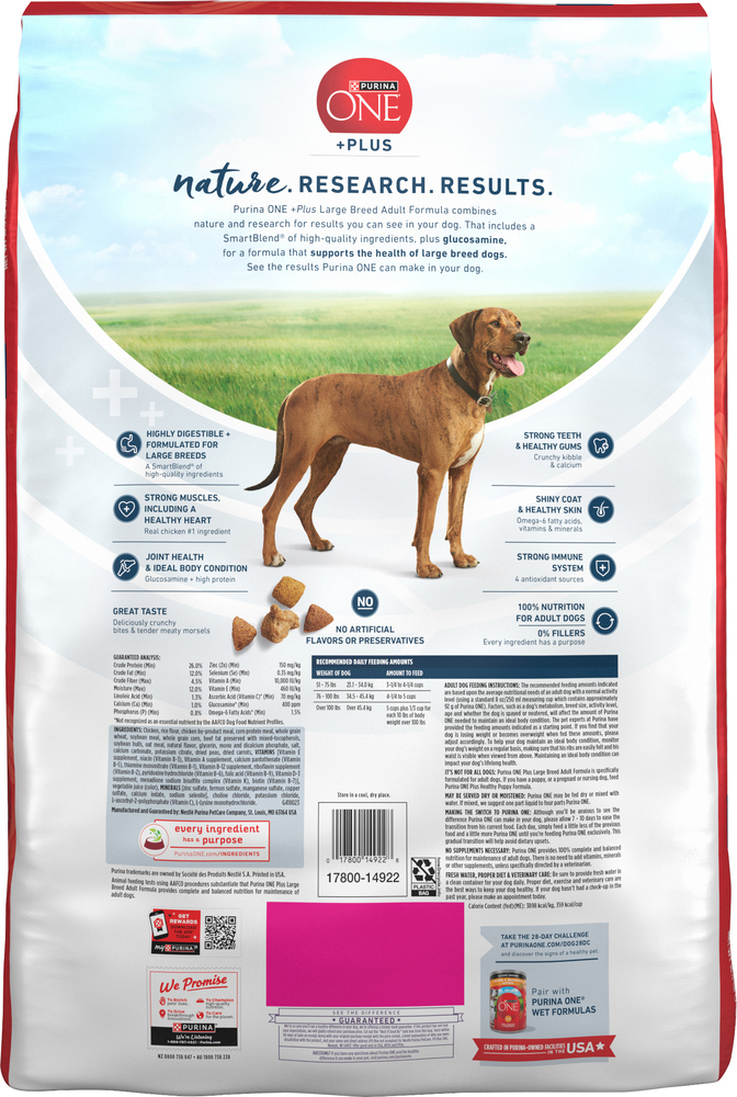 automatic wet cat food feeder for multiple days Smart Feeder  BistroCat