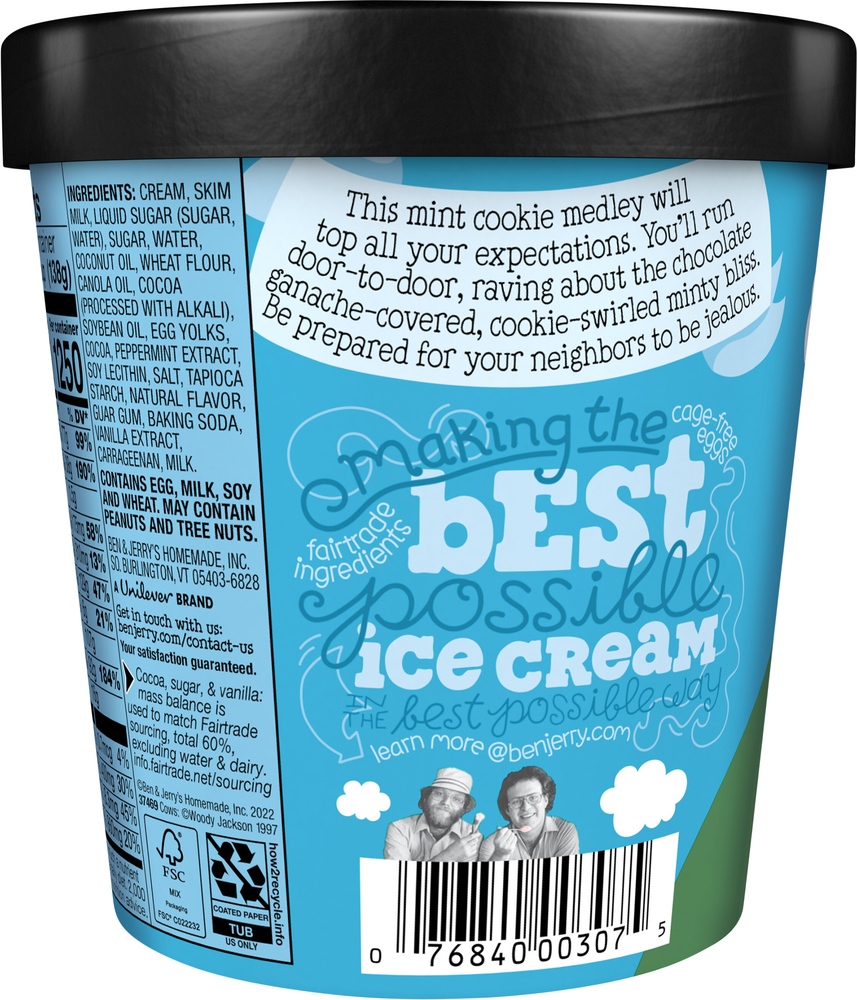 Ben & Jerry's Ice Cream, Thick Mint Topped