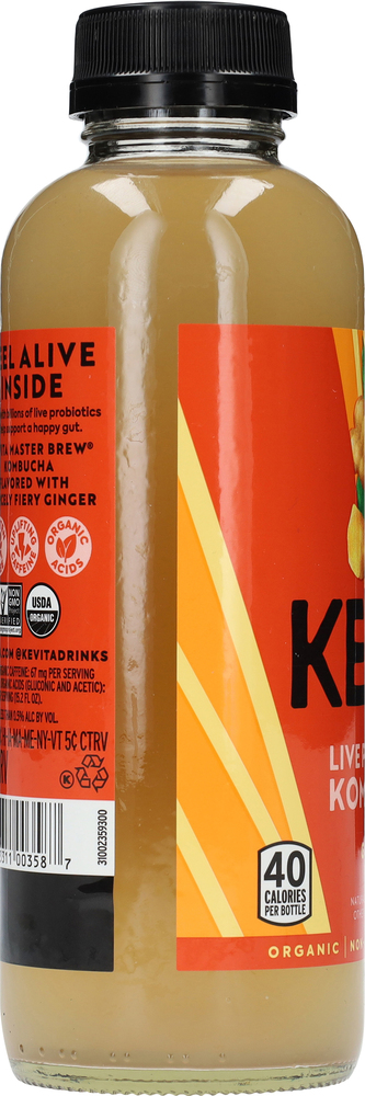 KeVita Bold + Smooth Live Probiotic Ginger Kombucha