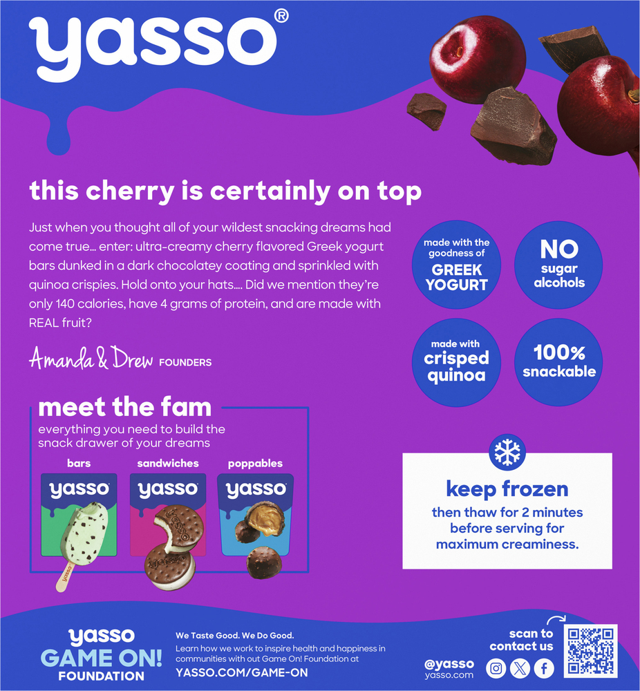 Yasso Greek Chocolate Crunch Cherry Yogurt Bars