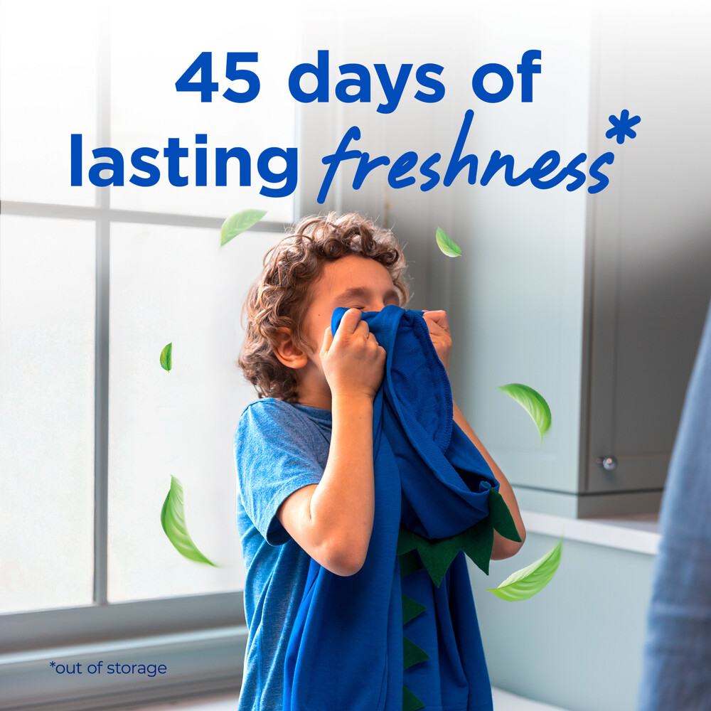 Purex Concentrated Fresh Mountain Breeze Detergent